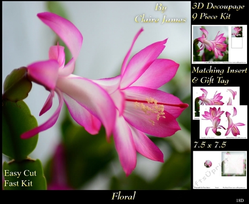 Botanical & Floral - Cactus Flower Christmas Rose 3 - 3D Decoupage + Insert & Tag