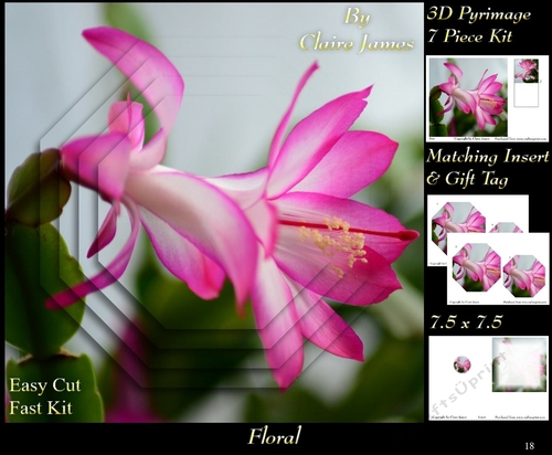 Botanical & Floral - Cactus Flower Christmas Rose 3 - 3D Pyrimage + Insert & Tag
