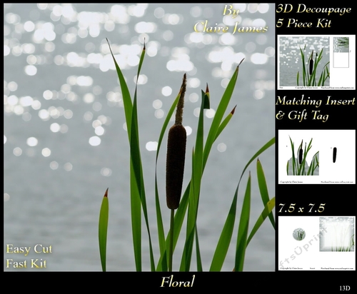 Botanical & Floral - Bull Rush - 3D Decoupage + Insert & Tag