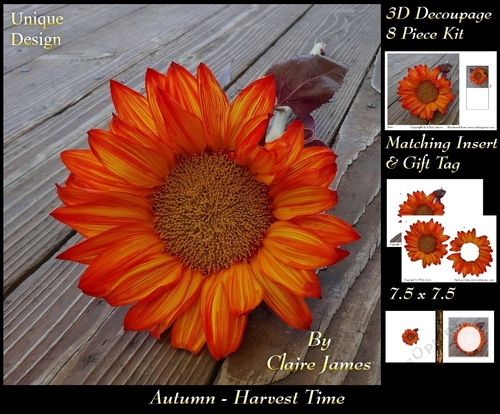Autumn - Fall - Havest Time 3 - 3D Decoupage + Insert & Tag