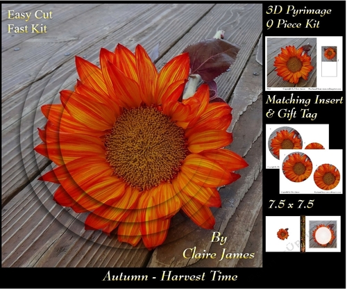 Autumn - Fall - Havest Time 3 - Pyrimage/Pyramid + Insert & Tag
