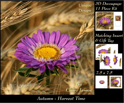 Autumn - Fall - Havest Time 5 - 3D Decoupage + Insert & Tag