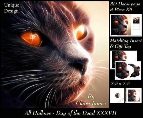 All Hallows Eve - The Day Of The Dead 37 - Special 3D Decoupage + Insert & Tag