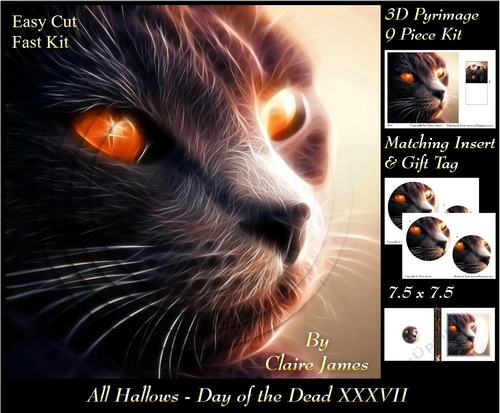 All Hallows Eve - The Day Of The Dead 37 - Pyrimage/Pyramid + Insert & Tag