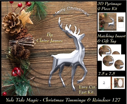 Yule Tide Magic - Christmas Trimmings & Reindeer - 3D Pyramid/pyrimage + Insert & Gift Tag