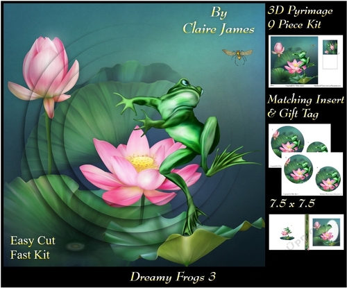 Dreamy Frogs 3 - 3D Pyramid/pyrimage + Insert & Gift Tag