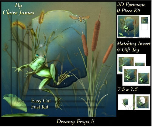 Dreamy Frogs 5 - 3D Pyramid/pyrimage + Insert & Gift Tag