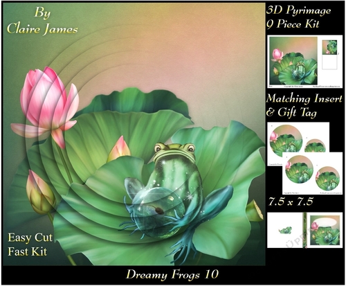Dreamy Frogs 10 - 3D Pyramid/pyrimage + Insert & Gift Tag