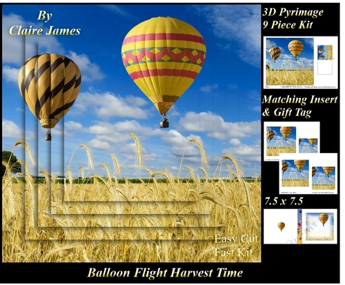 Hot Air Balloons - Balloon Flight Harvest Time - Pyrimage/Pyramid + Insert & Tag