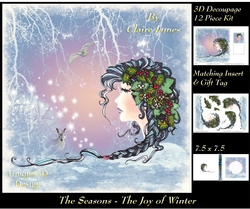 The Seasons - The Joy of Winter - 3D Decoupage + Matching Insert & Tag 