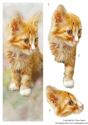One Sheet Wonders - Water Colour Magic - Ginger Kitten - Easy Cut - 3D Decoupage