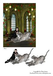Gothic Night Friends & Familiars Ii + Decoupage