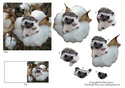 Meet Jed the Cute Baby Hedgehog 2 + Decoupage & Tag