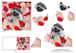 Meet Jed the Cute Baby Hedgehog 3 + Decoupage & Tag