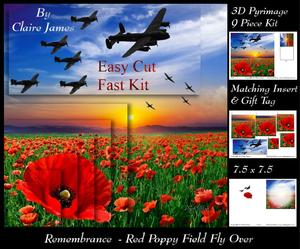 Simply Poppies - Red Poppy Field Fly Over Pyrimage + Ins+tag