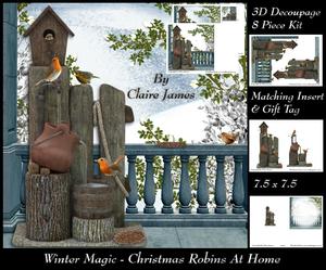 Winter Magic - Christmas Robins Penthouse + Insert+tag