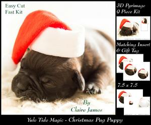 Yule Tide Magic - Cute Christmas Pug Puppy + Insert & Tag