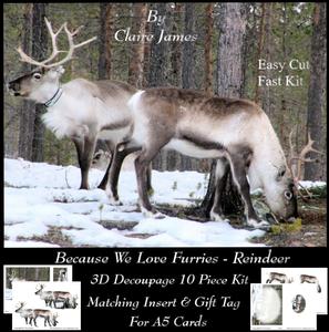 Because We Love Furries - 3D Reindeers + Insert & Tag