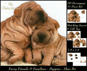 Furry Friends & Familiars - Puppies - Shar Pei Insert & Tag
