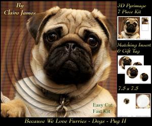 Furry Friends & Familiars - Dogs - 3D Pug 2 Pyrimage + Tag +