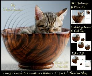 Furry Friends & Familiars-kitten-my Special Dish Pyramid +