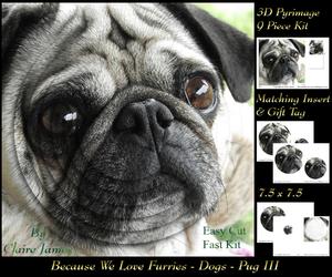 Furry Friends & Familiars - Dogs - Pug 3 + Insert & Tag