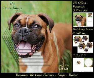 Furry Friends & Familiars - Dogs - Boxer + Insert & Tag