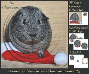 Because We Love Furries - Christmas Guinea Pig Pyrimage +tag