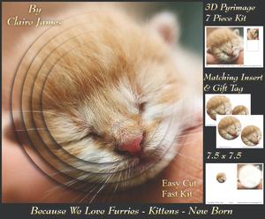 Furry Friends & Familiars - Kitten - Cute Newborn Insert Tag