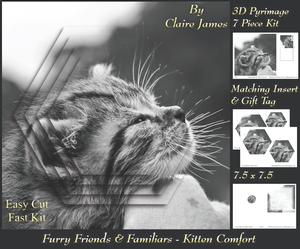 Furry Friends & Familiars - Kitten Comfort + Insert & Tag