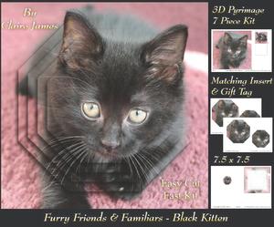 Furry Friends & Familiars - Black Kitten + Insert & Tag