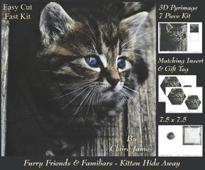 Furry Friends & Familiars - Kitten Hide Away +insert & Tag