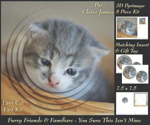 Furry Friends & Familiars-kittens-you Sure This Isn't Mine +