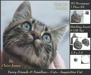 Furry Friends & Familiars - Cats - Inquisitive Decoupage +