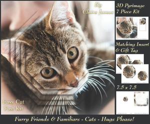 Furry Friends & Familiars - Cats - Hugs Please +insert & Tag