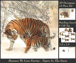 Because We Love Furries - Gorgeous Tigers in the Snow + Tag+