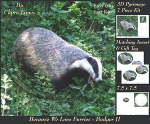 Because We Love Furries - Badger 2 + Insert & Tag