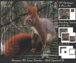Because We Love Furries - Gorgeous Red Squirrel 2 Insert+tag