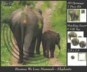 Because We Love Mammals - Elephants Mother & Child + Tag +