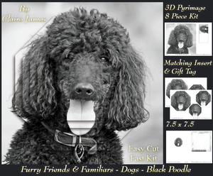 Furry Friends & Familiars - Dogs - Black Poodle Insert & Tag