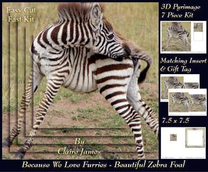 Because We Love Furries - Beautiful Zebra Foal + Tag +