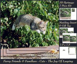 Furry Friends & Familiars - Cats - the Joy of Leaping +tag+