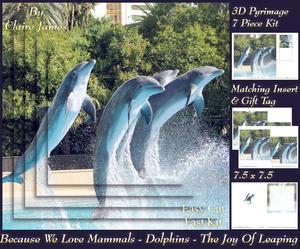 Because We Love Mammals - Dolphins - the Joy of Leaping Tag+
