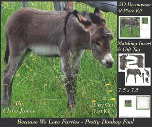 Because We Love Furries - Pretty Donkey Foal +tag+