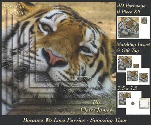 Because We Love Furries - Snoozing Tiger + Insert & Tag
