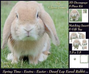 Spring Time - Eostra - Easter - Dwarf Lop Eared Rabbit +tag+