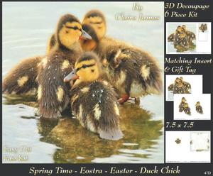 Spring Time - Eostra Easter - Duck Chicks + Tag +