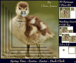 Spring Time - Eostra Easter - Beautiful Duckling + Tag +
