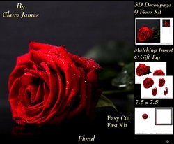 Botanical & Floral 3 - Beautiful Red Rose + Insert & Tag
