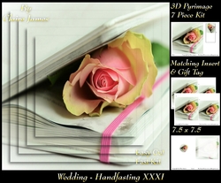 Tying The Knot 31 - Weddings & Handfastings - Pyrimage/pyramid + Matching Insert & Tag 